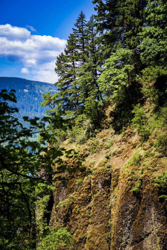 Colombia River Gorge Oregon7
